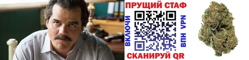 Купить закладку Cocaine  Меф  Alpha-PVP  Марихуана  Нестеров