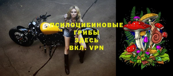 трава Заволжск