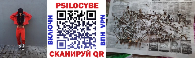 Галлюциногенные грибы мицелий  Купить где  Нестеров 